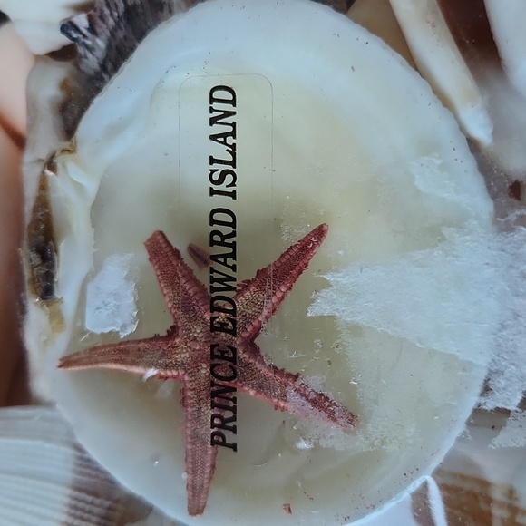 PEI Shells - Picture 3 of 3